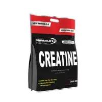 Powerlife Nutrition Creatine 300 gr