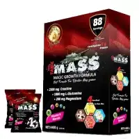 Protouch Mass Gainer 4400 Gram 88 Servis